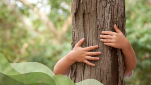 Reconnect with nature